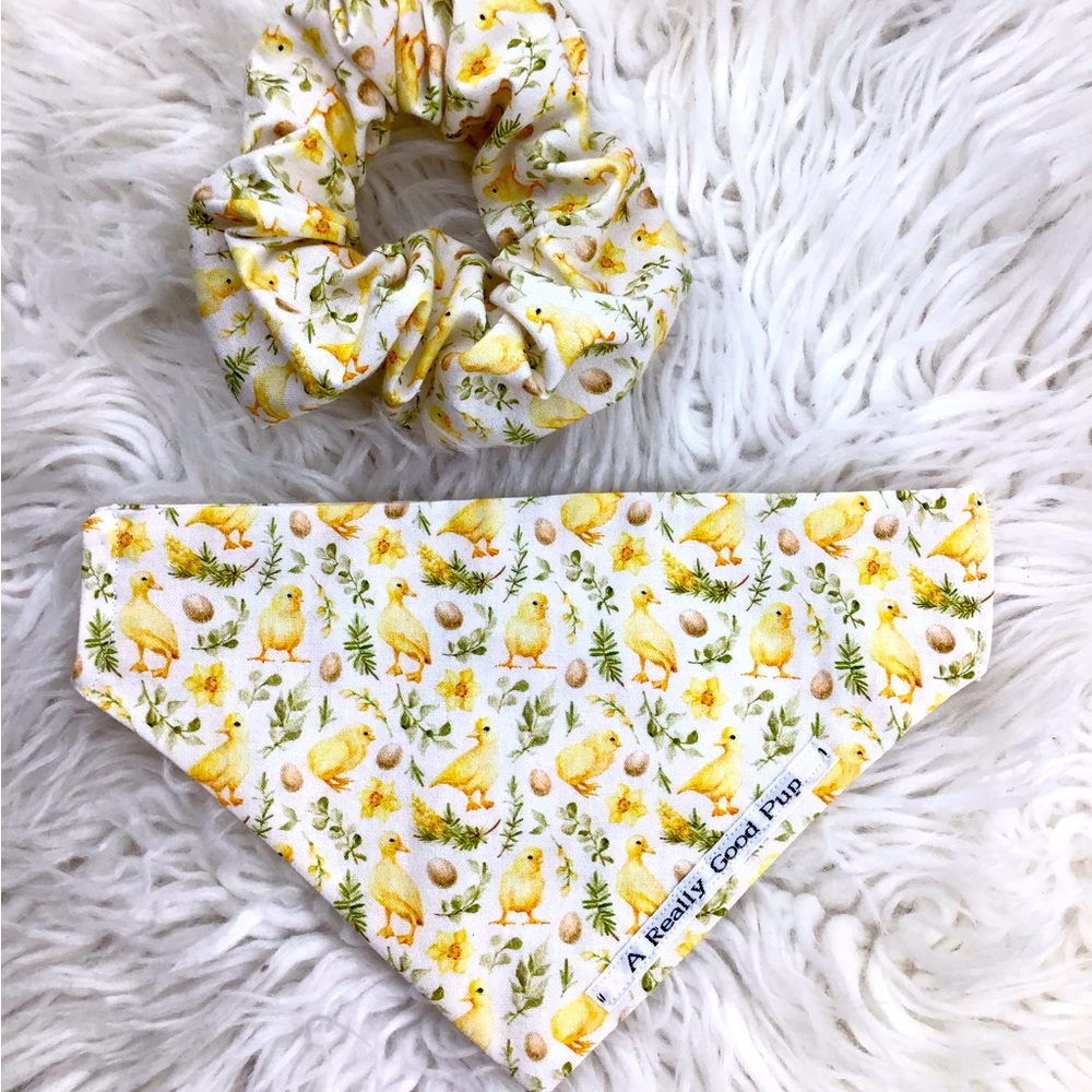 🐶 4 for $16 DOG BANDANA + SCRUNCHIE set ( BABY CHICKS 🐤 )